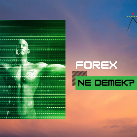 Forex Ne Demek | Forex Piyasa Terimleri