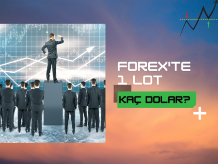 Forexte 1 Lot Kaç Dolar | Forex’te Lot Hesabı Nasıl Yapılır?